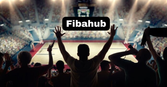 What is Fibahub ? Complete Information